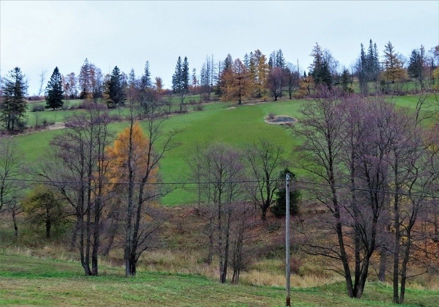 Zlatohorská vrchovina